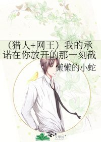(猎人+网王)我的承诺在你放开的那一刻截至