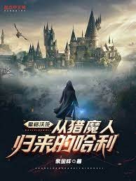 （HP同人）霍格沃茨：從獵魔人歸來的哈利
